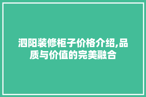 泗阳装修柜子价格介绍,品质与价值的完美融合 室内设计