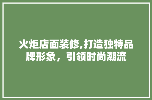 火炬店面装修,打造独特品牌形象，引领时尚潮流 现代风格装饰