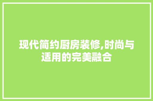 现代简约厨房装修,时尚与适用的完美融合 现代风格装饰