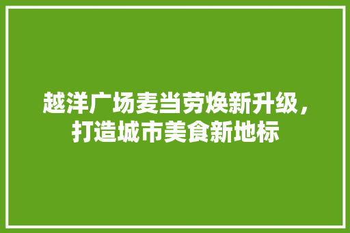 越洋广场麦当劳焕新升级，打造城市美食新地标 客厅装修
