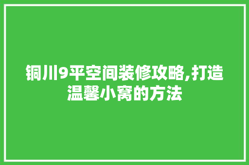 铜川9平空间装修攻略,打造温馨小窝的方法 卧室装修