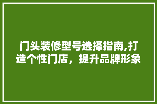 门头装修型号选择指南,打造个性门店，提升品牌形象 室内设计