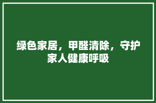绿色家居，甲醛清除，守护家人健康呼吸 地板材料