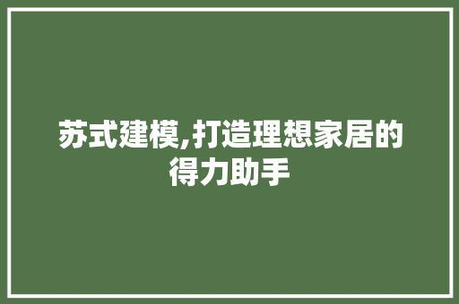 苏式建模,打造理想家居的得力助手 家居装修