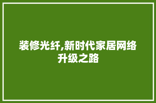 装修光纤,新时代家居网络升级之路 现代风格装饰