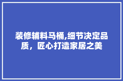 装修辅料马桶,细节决定品质，匠心打造家居之美 中式风格装饰
