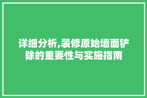 详细分析,装修原始墙面铲除的重要性与实施指南 地板材料