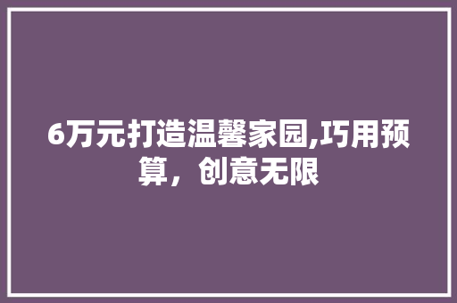 6万元打造温馨家园,巧用预算，创意无限 室内设计