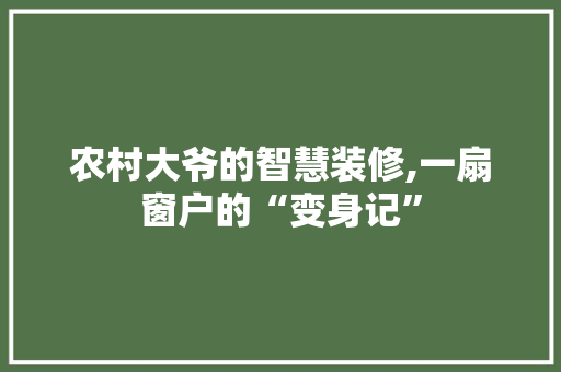 农村大爷的智慧装修,一扇窗户的“变身记” 室内设计