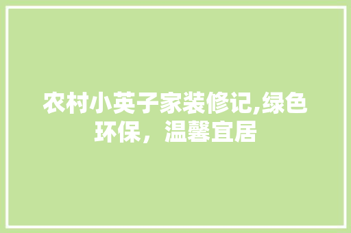 农村小英子家装修记,绿色环保，温馨宜居 家居装修