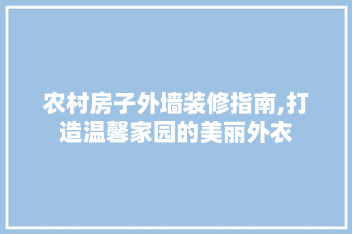 农村房子外墙装修指南,打造温馨家园的美丽外衣 木雕艺术