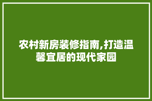 农村新房装修指南,打造温馨宜居的现代家园 室内设计