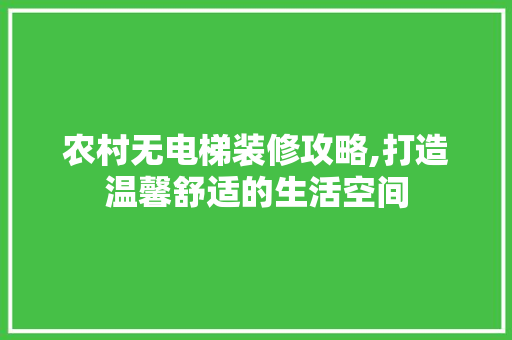 农村无电梯装修攻略,打造温馨舒适的生活空间 中式风格装饰