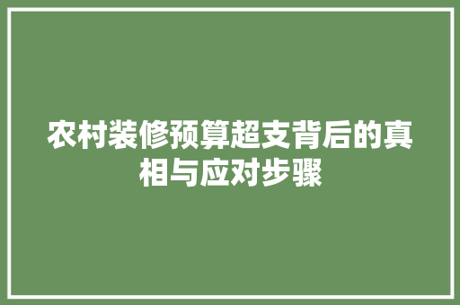 农村装修预算超支背后的真相与应对步骤 客厅装修