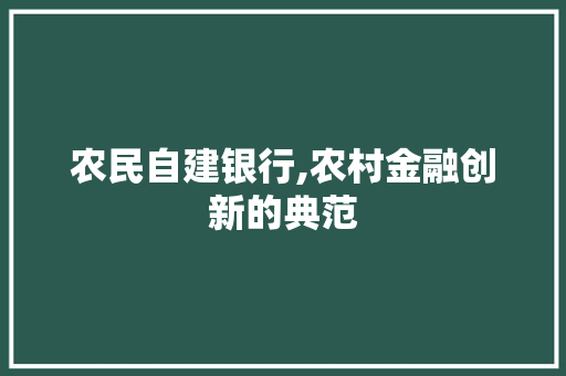 农民自建银行,农村金融创新的典范 软装设计