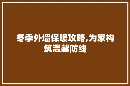 冬季外墙保暖攻略,为家构筑温馨防线 家居装修