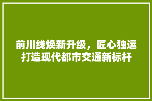 前川线焕新升级，匠心独运打造现代都市交通新标杆 现代风格装饰