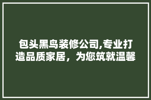 包头黑鸟装修公司,专业打造品质家居，为您筑就温馨家园 现代风格装饰