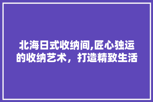 北海日式收纳间,匠心独运的收纳艺术，打造精致生活空间 客厅装修