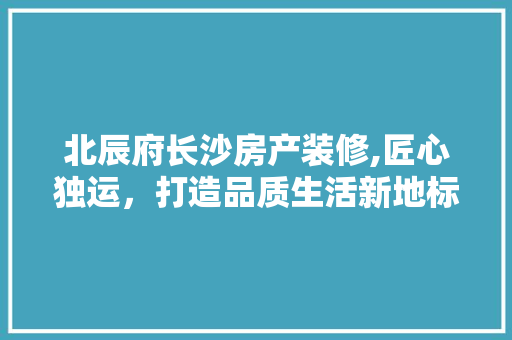 北辰府长沙房产装修,匠心独运，打造品质生活新地标