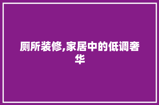 厕所装修,家居中的低调奢华 软装设计
