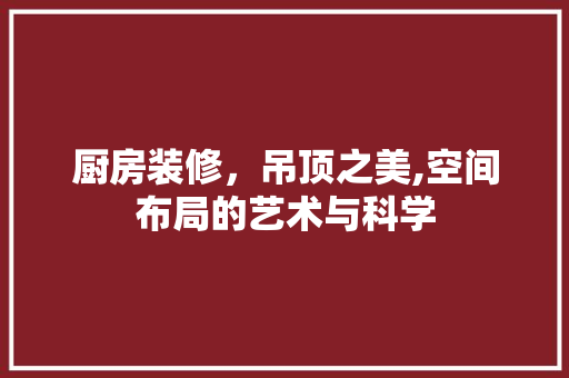 厨房装修，吊顶之美,空间布局的艺术与科学 地板材料