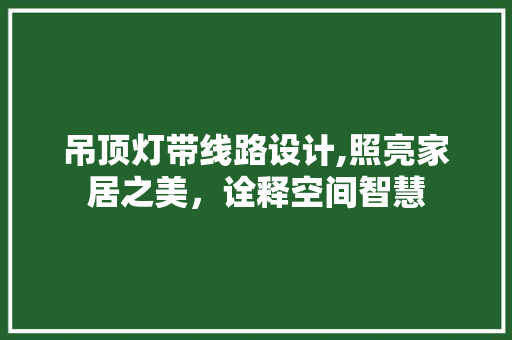 吊顶灯带线路设计,照亮家居之美，诠释空间智慧 室内设计