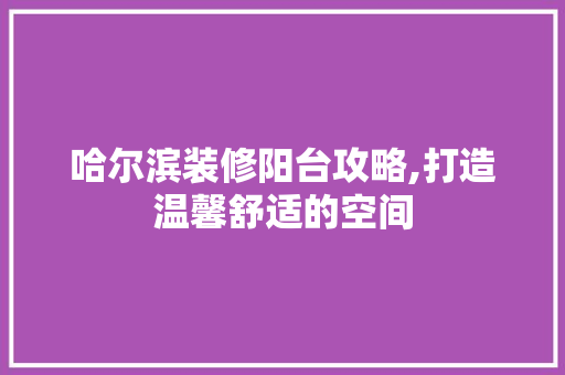 哈尔滨装修阳台攻略,打造温馨舒适的空间 木雕艺术