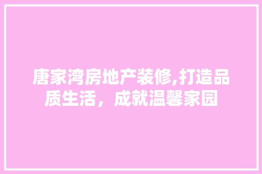 唐家湾房地产装修,打造品质生活，成就温馨家园