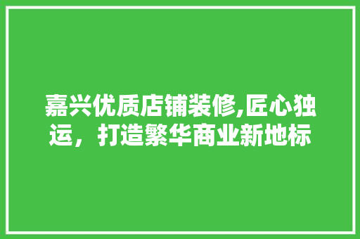 嘉兴优质店铺装修,匠心独运，打造繁华商业新地标 室内设计