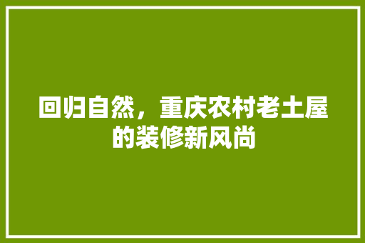 回归自然，重庆农村老土屋的装修新风尚 室内设计