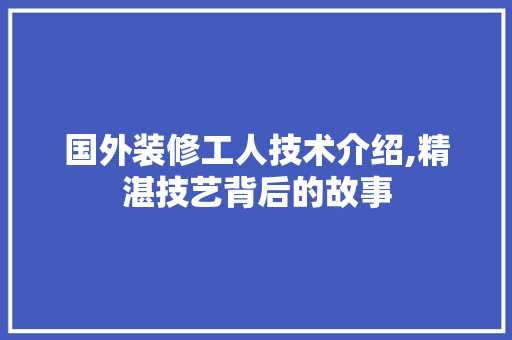国外装修工人技术介绍,精湛技艺背后的故事 现代风格装饰