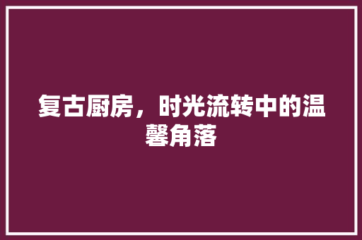 复古厨房，时光流转中的温馨角落 客厅装修