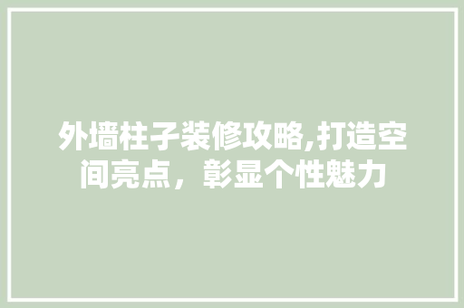外墙柱孑装修攻略,打造空间亮点，彰显个性魅力 卧室装修