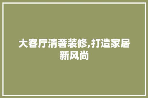 大客厅清奢装修,打造家居新风尚 家居装修