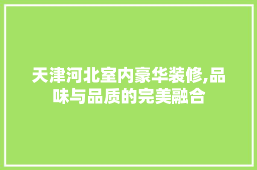 天津河北室内豪华装修,品味与品质的完美融合 现代风格装饰