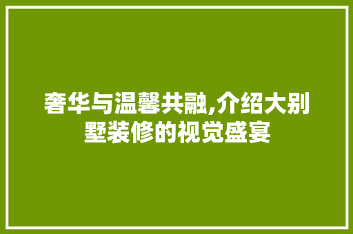 奢华与温馨共融,介绍大别墅装修的视觉盛宴 现代风格装饰