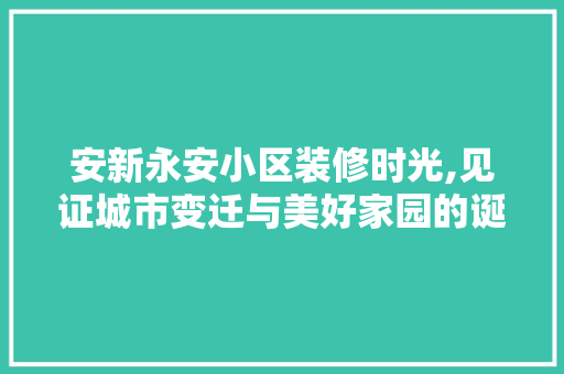安新永安小区装修时光,见证城市变迁与美好家园的诞生 现代风格装饰