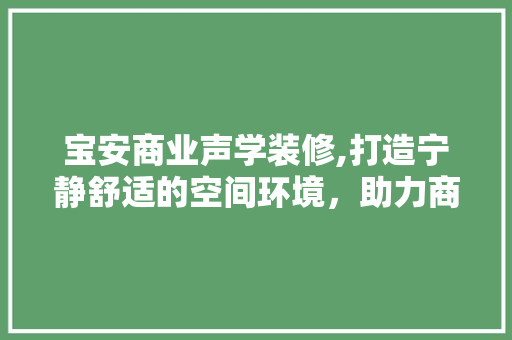 宝安商业声学装修,打造宁静舒适的空间环境，助力商业发展