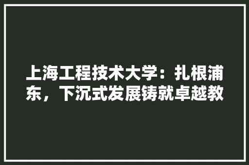 上海工程技术大学：扎根浦东，下沉式发展铸就卓越教育品牌 地板材料