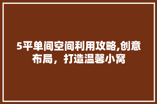 5平单间空间利用攻略,创意布局，打造温馨小窝 家居装修