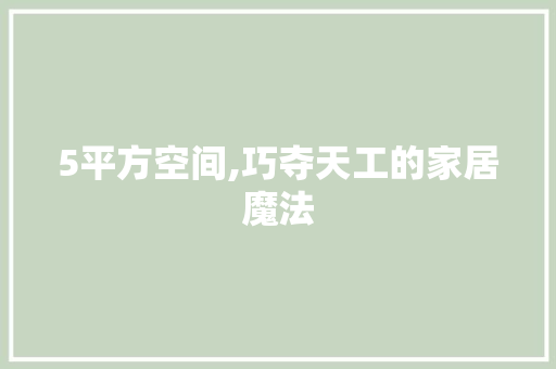 5平方空间,巧夺天工的家居魔法 地板材料