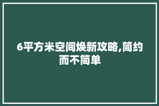 6平方米空间焕新攻略,简约而不简单 客厅装修