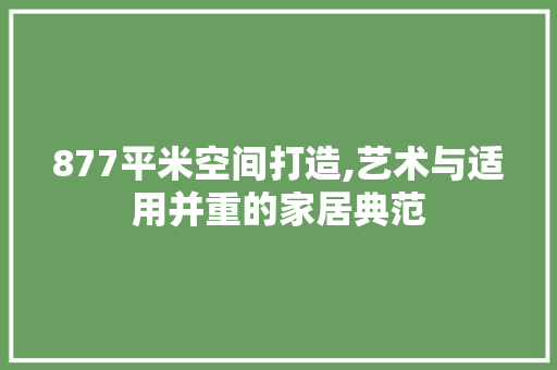 877平米空间打造,艺术与适用并重的家居典范 家居装修