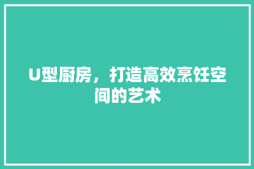U型厨房，打造高效烹饪空间的艺术 中式风格装饰
