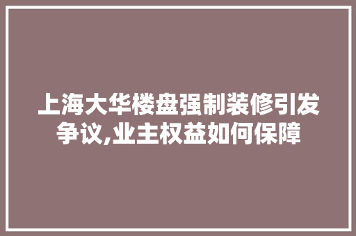 上海大华楼盘强制装修引发争议,业主权益如何保障 现代风格装饰