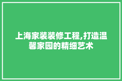上海家装装修工程,打造温馨家园的精细艺术 家居装修