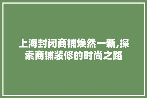 上海封闭商铺焕然一新,探索商铺装修的时尚之路 现代风格装饰