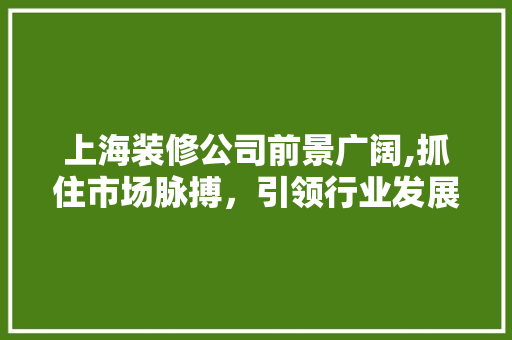 上海装修公司前景广阔,抓住市场脉搏，引领行业发展