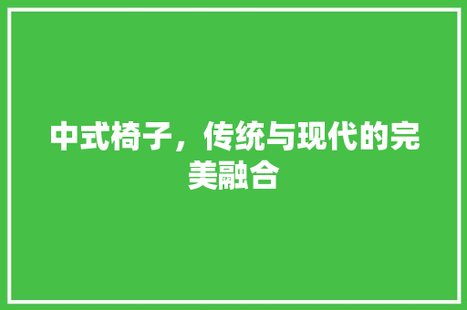 中式椅子，传统与现代的完美融合 室内设计